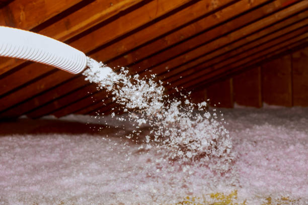 Best Specialized Insulation Services in South Whittier, CA