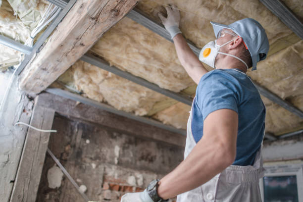 Best Cellulose Insulation in South Whittier, CA